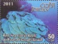 Red Sea Coral