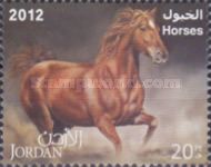 Horse (Equus ferus caballus)