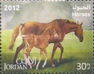 Horse (Equus ferus caballus)