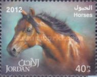 Horse (Equus ferus caballus)