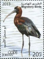 Glossy Ibis (Plegadis falcinellus)