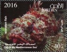 Red Scorpionfish (Scorpaena scrofa)