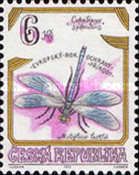 Banded Demoiselle (Calopteryx splendens)