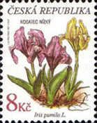 Kosatec nízký, IRIS PUMILA L.