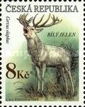 Red Deer (Cervus elaphus)