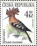 Eurasian Hoopoe (Upupa epops)