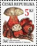 Rare mushrooms: Boletus satanoides