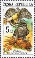 Autumn: Northern Goshawk and Common Pheasant