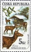 Winter: Care of animals