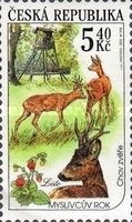 Summer: Gamekeeping of animals
