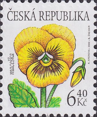 Flowers: Pansy