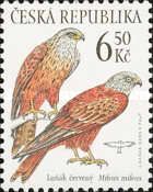 Red Kite (Milvus milvus)
