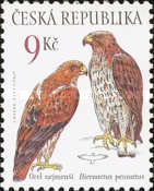 Booted Eagle (Hieraaetus pennatus)