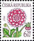 Flowers: Dahlia