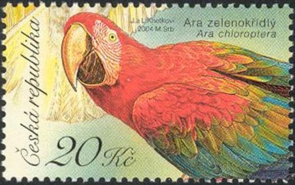 Red-and-green Macaw (Ara chloroptera)