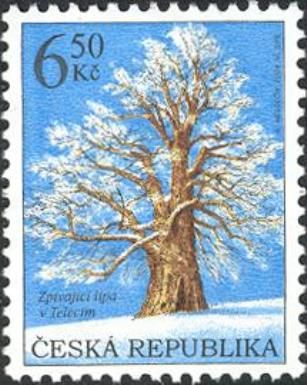 The Singing Lime Tree in Telecí near Polička