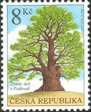 Žižka's Oak Tree in Podhradí near Lichnice