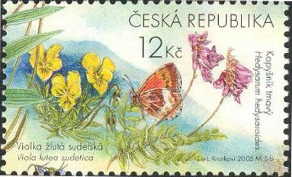 Mountain Pansy (Viola lutea sudetica), Alpin Sainfoin (Hedys