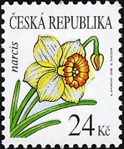 Flowers: Daffodil
