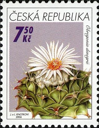Obregonia denegrii