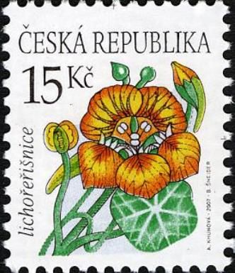 Flowers: Tropaeolum