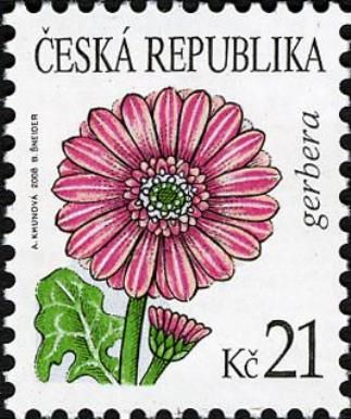 Flowers: Gerbera