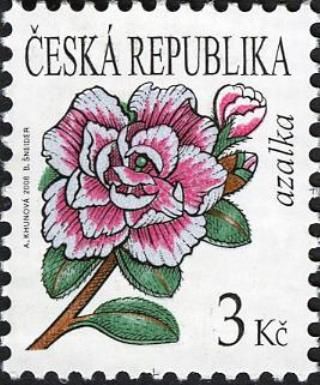 Flowers: Azalka (Rosebay)