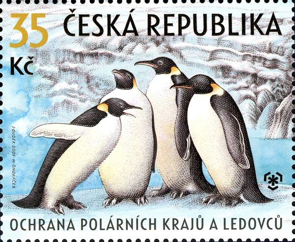 Emperor Penguin (Aptenodytes forsteri)