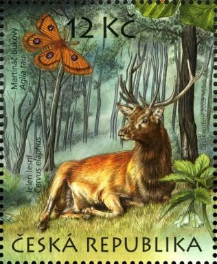 Red Deer (Cervus elaphus), Tau Emperor (Aglia tau), Bitter-c