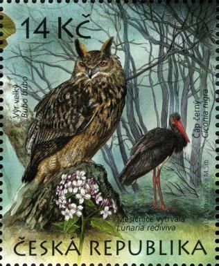Eurasian Eagle Owl (Bubo bubo), Black Stork (Ciconia nigra),
