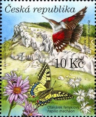 Wallcreeper (Tichodroma muraria), Swallowtail (Papilio macha