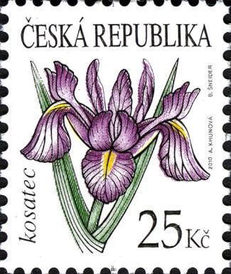 Flowers: Iris