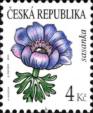 Flowers: Anemone