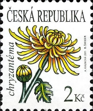 Flowers- Chrysanthemum