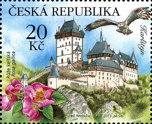 French Rose (Rosa gallica), Castle Karlštejn, Bird of Prey