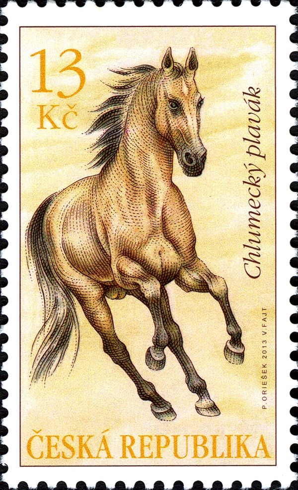 Chlumecký Plavák (Equus ferus caballus) (Equus kinsky??)