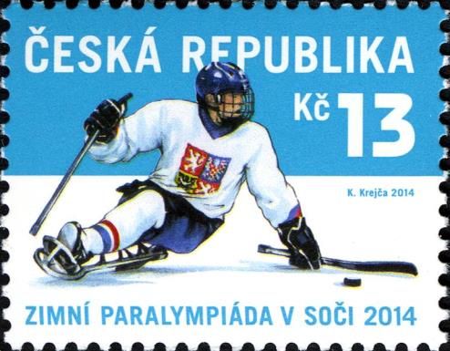 Winter Paralympic Games in Sochi 2014, sledge-hockey player