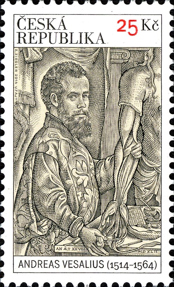 Andreas Vesalius (1514-1564)