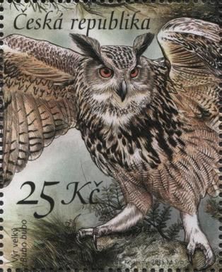 Eurasian Eagle-owl (Bubo bubo)
