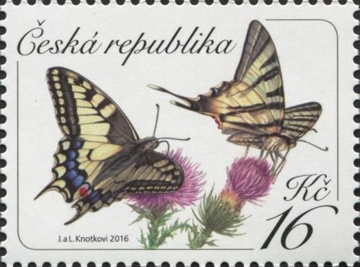 Swallowtail (Papilio machaon)