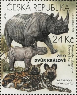 Black Rhinoceros (Diceros bicornis), African Wild Dog (Lycao