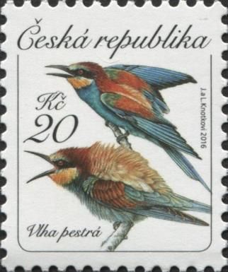 The European bee-eater (Merops apiaster)