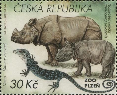 Indian rhinoceros, blue lizard