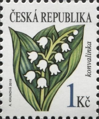 Lily of the Valley (Convallaria majalis)