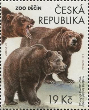 Grizzly Bear (Ursus arctos horribilis)