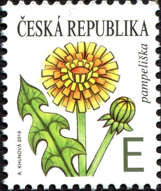 Dandelion (Taraxacum officinale)