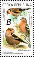 Goldfinch, Chaffinch and Hawfinch