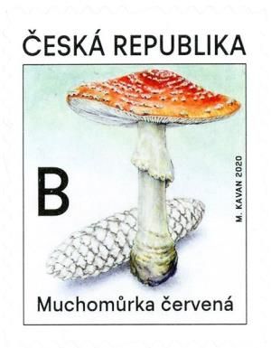 Fly Amanita (Amanita muscaria)