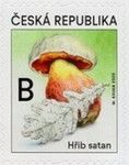 Devil’s Bolete (Rubroboletus satanas)