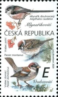 Long-tailed Tit, Tree Sparrow, House Sparrow
